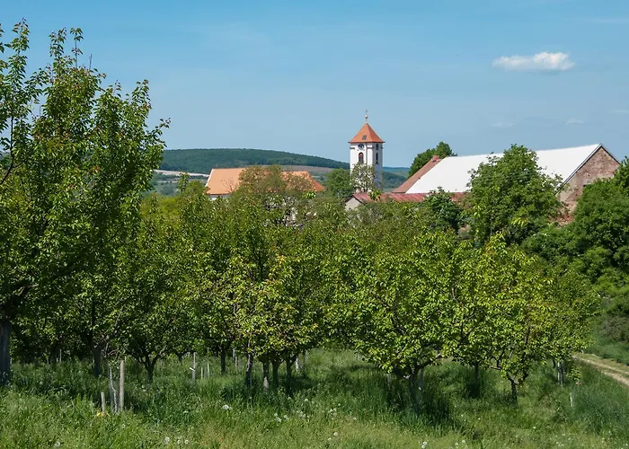U Krizku Gasthof 3*